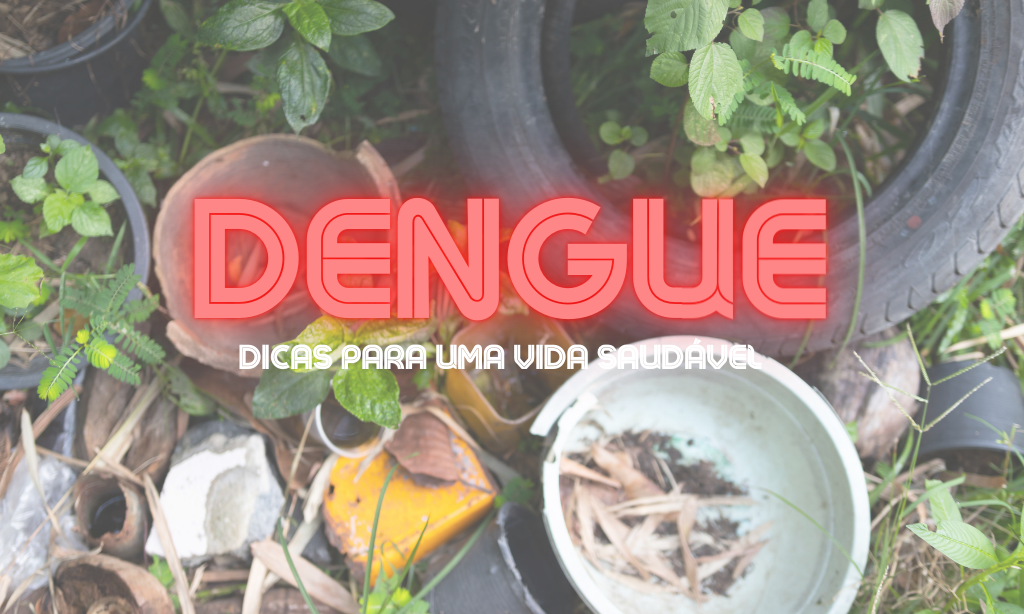 Dengue no Brasil: Prevenção, Dados Atualizados e Dicas para uma Vida Saudável